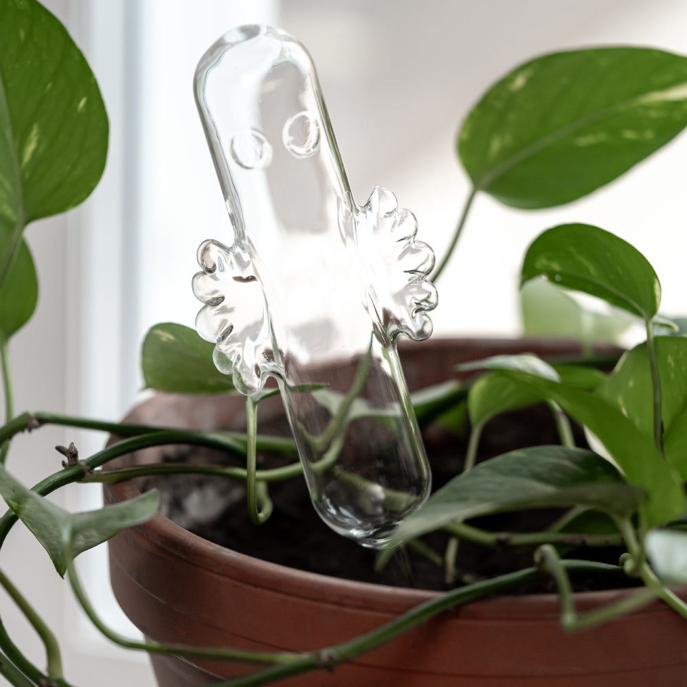 Hattifattener Watering Bulb - Muurla