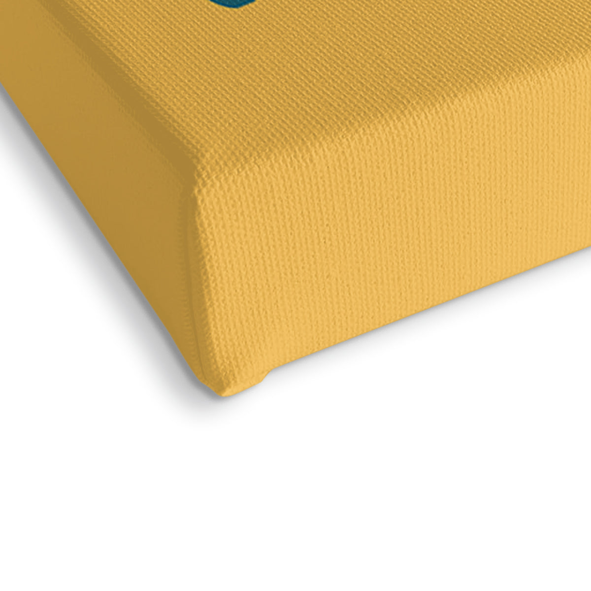 Moomin And The Comet Stretched Canvas