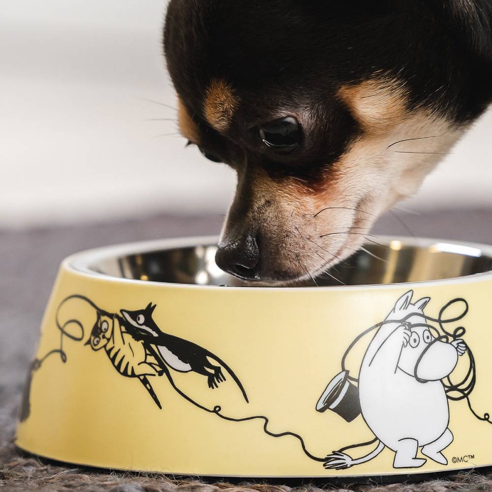 Moomin For Pets Food Bowl Yellow M - Muurla | Moomin Shop United States