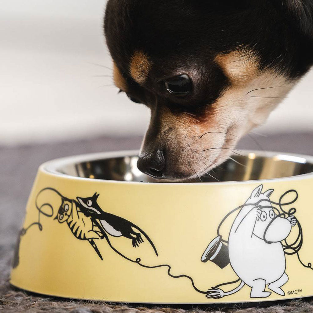 A dog eating from a Muurla Moomin For Pets Food Bowl